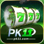PK11 Game APK Download