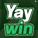 YAY Win Game App (Online Earning) Download Latest Version in Pakistan